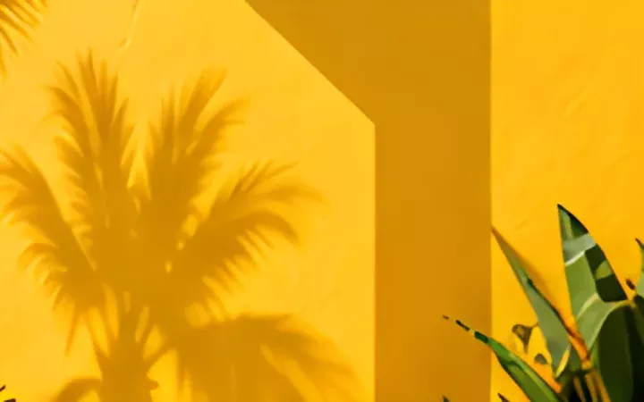 Façade jaune et jeu d’ombres de palmes.